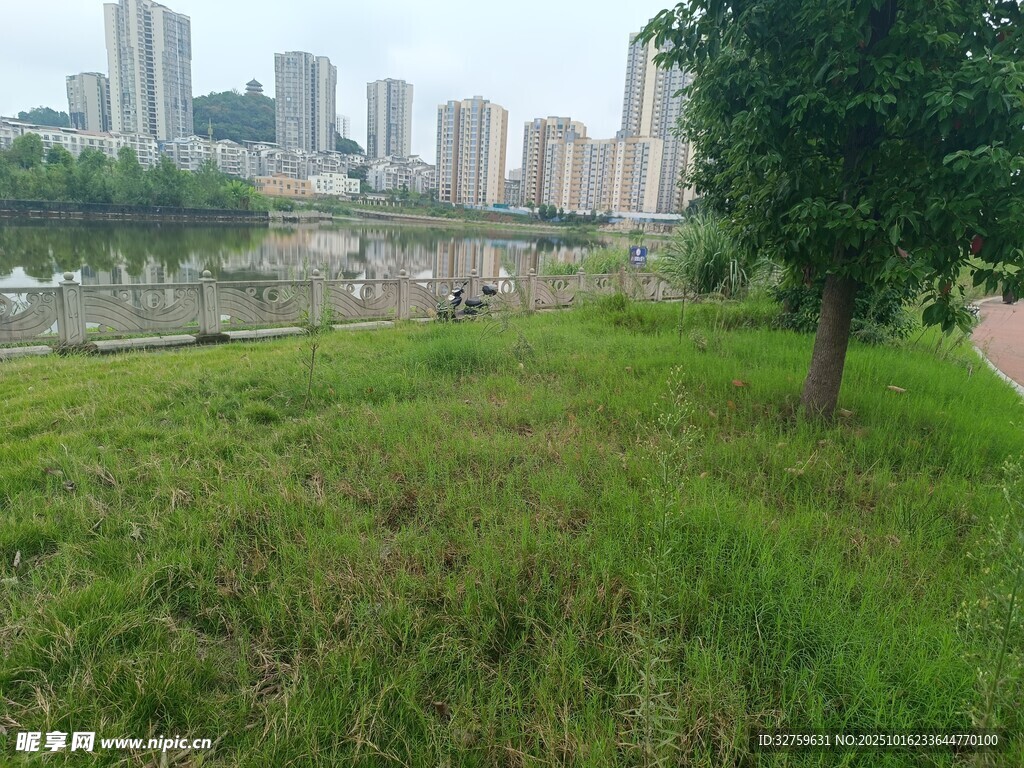 城市河畔绿意盎然风景
