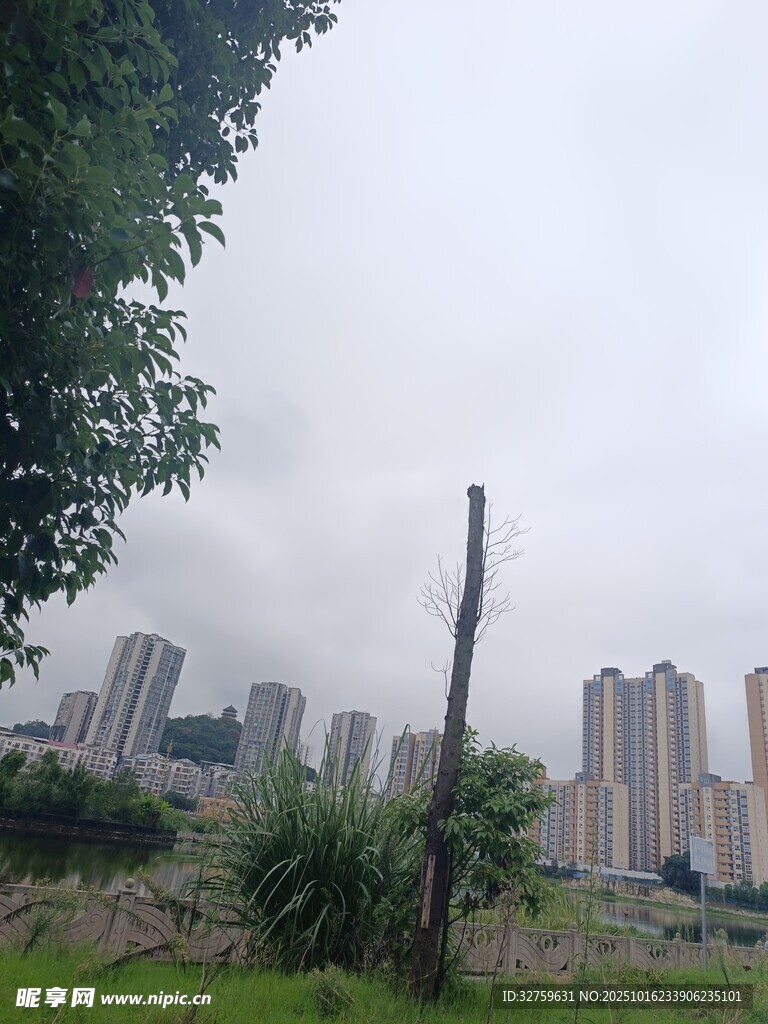城市边缘的高楼与绿植景观