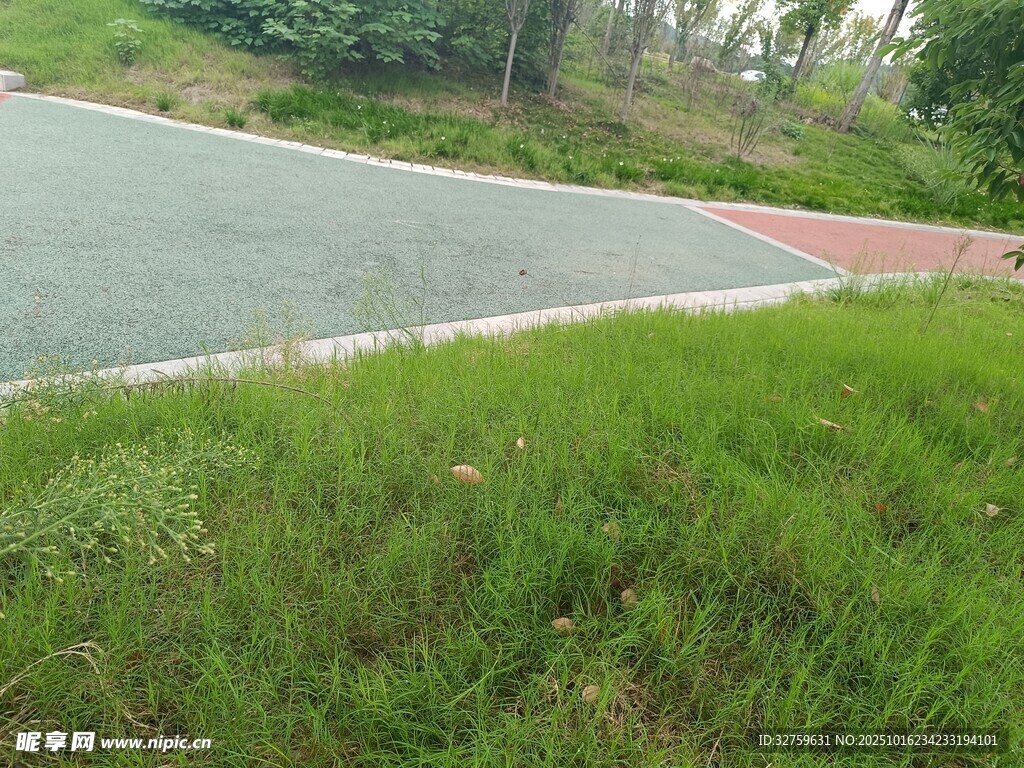 路边翠绿草地与道路景观