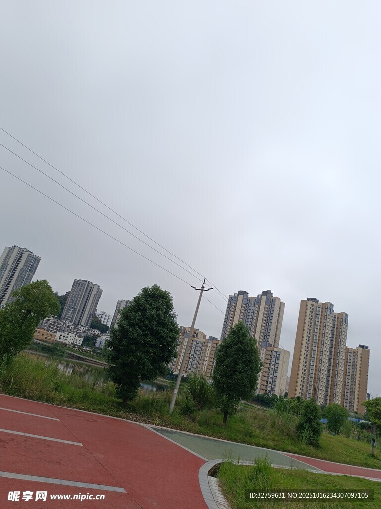 城市公园旁的高楼景观