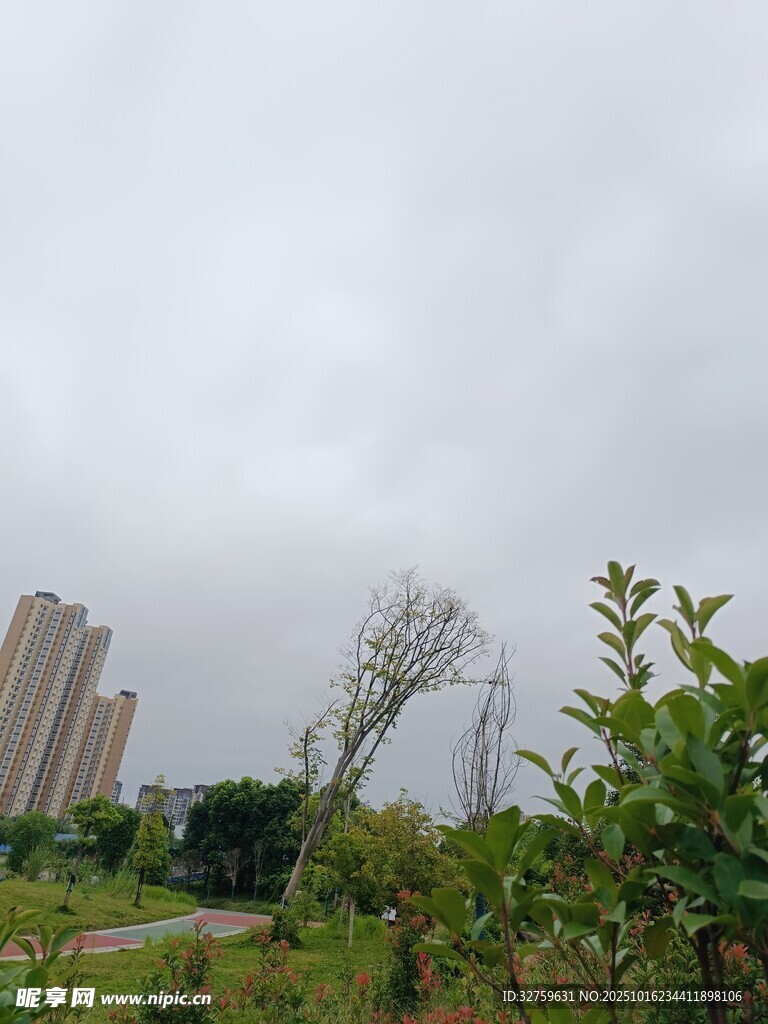 城市边缘的绿植与高楼
