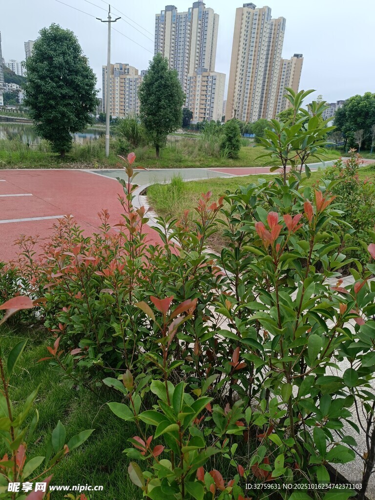 城市公园中的花草与跑道