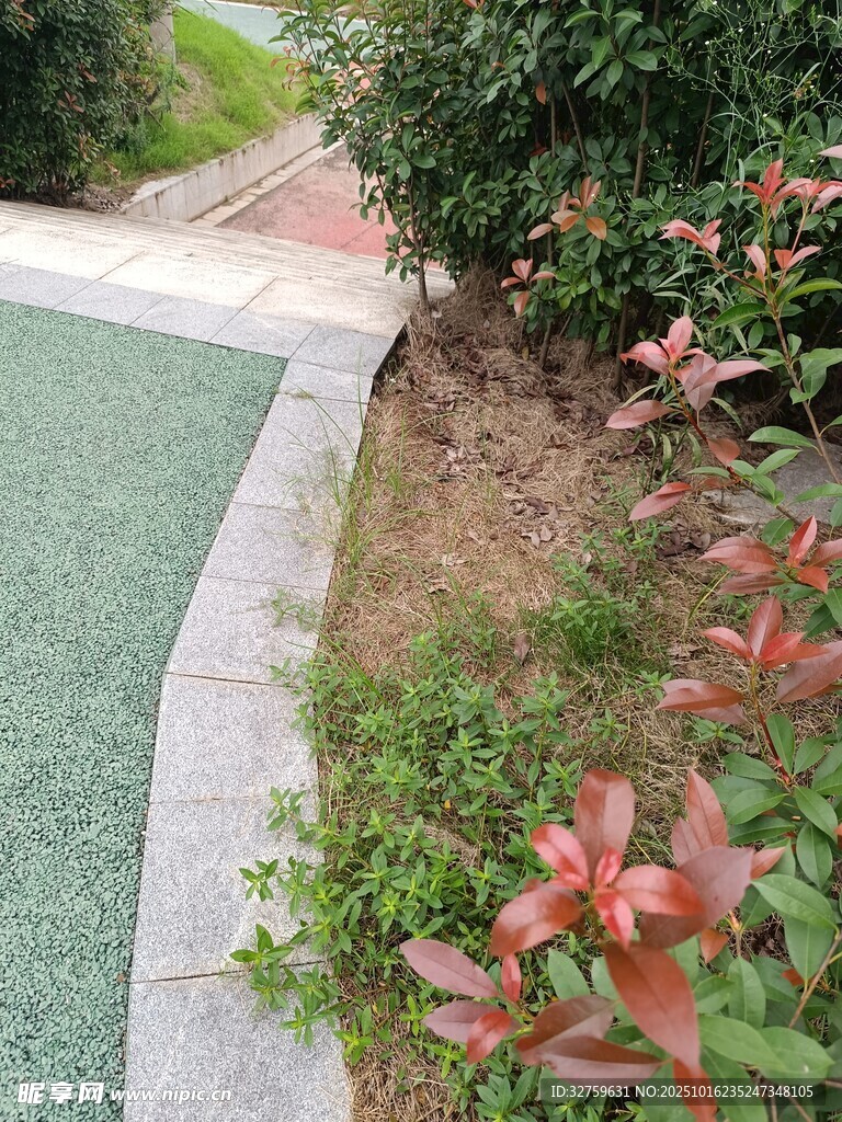 小区绿植与步道景观