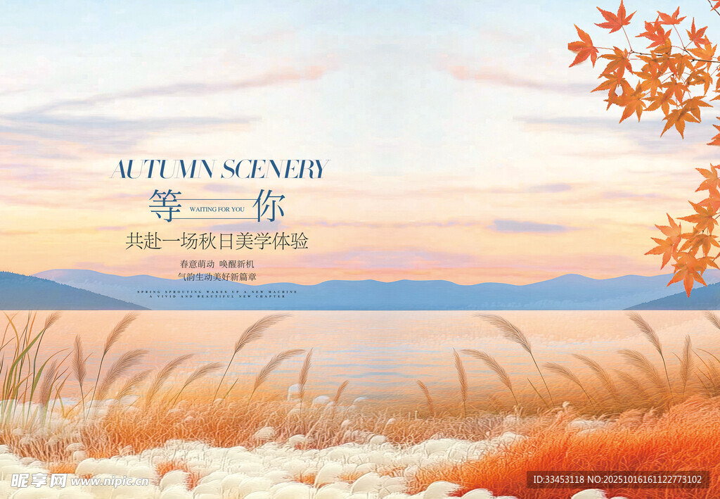 秋日旷野美景