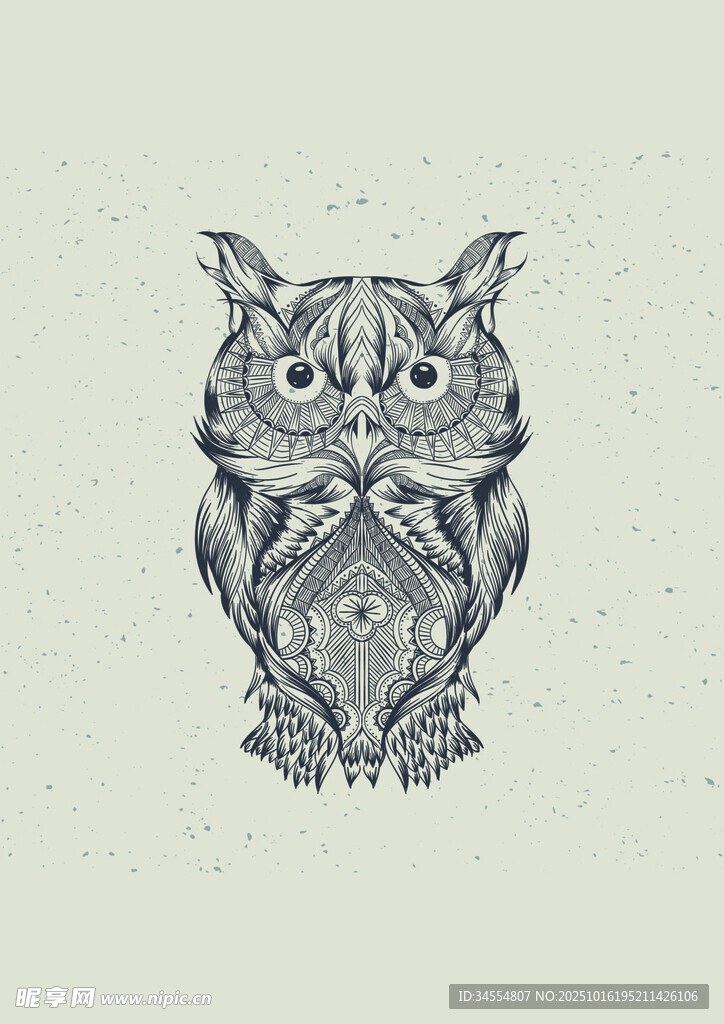 手绘猫头鹰插画