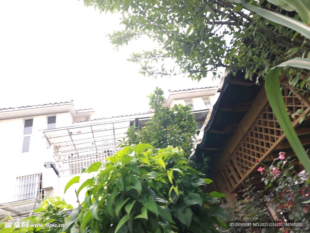 屋顶绿植景观