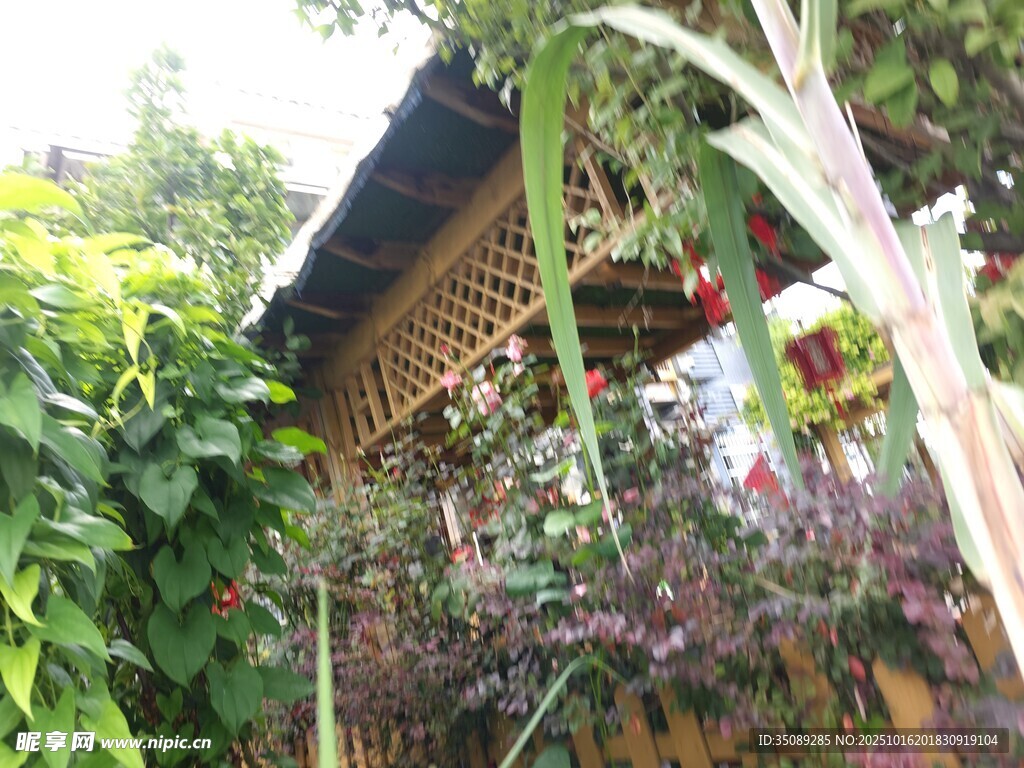 绿植环绕的古朴小屋
