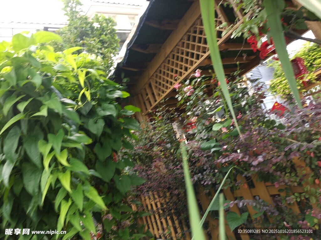 绿植环绕的古朴小屋