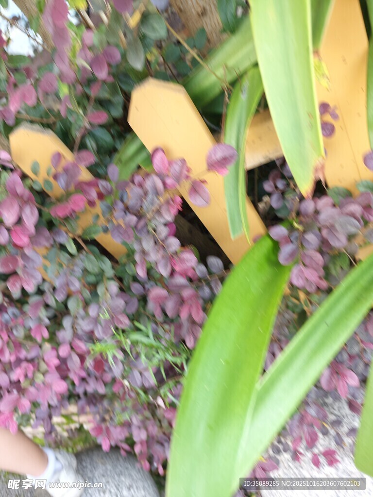 多彩植物与木质物件组合