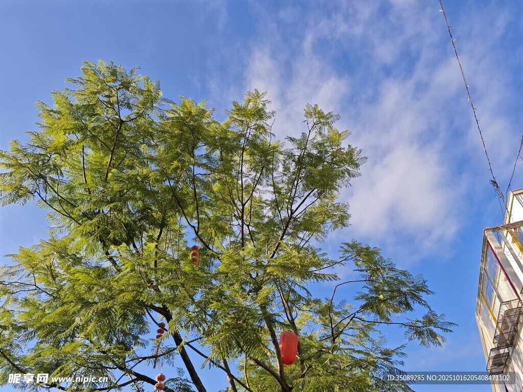 蓝天绿树间的一抹红