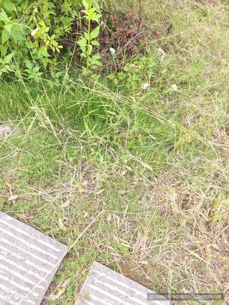 户外草地与金属踏板景观