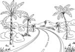 蜿蜒小路旁的热带风光