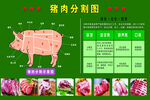 猪肉分割图