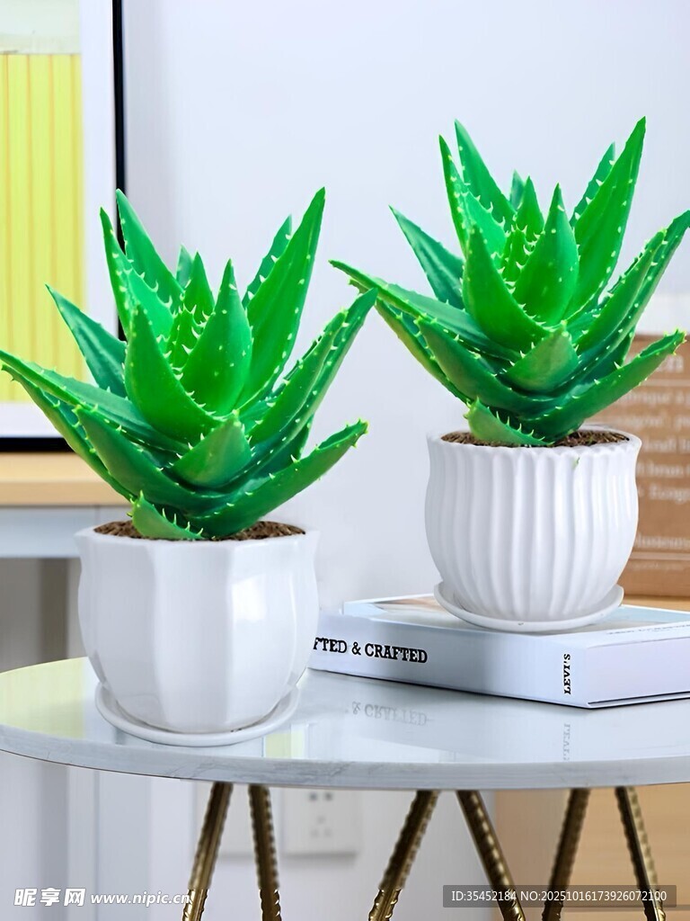 芦荟