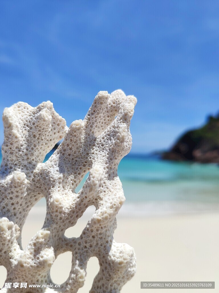 海边洁白珊瑚与碧海蓝天