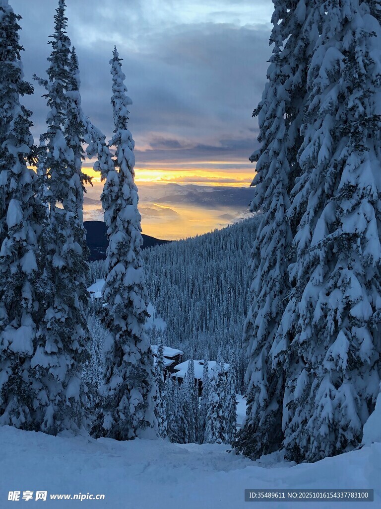 雪林暮色中的壮丽自然景观