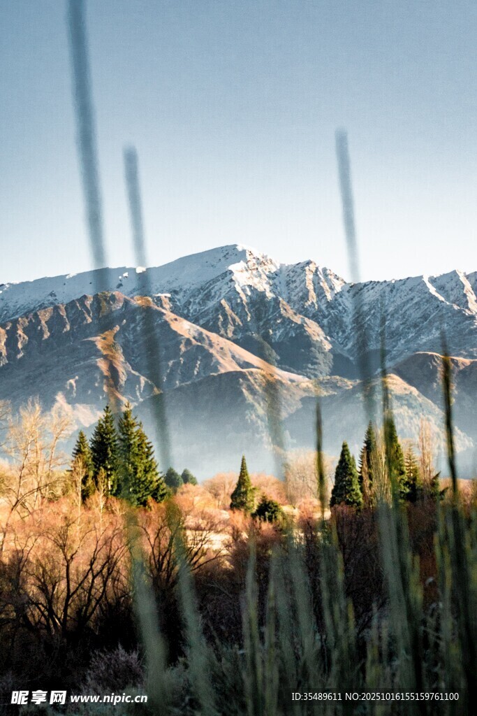 山间晨景