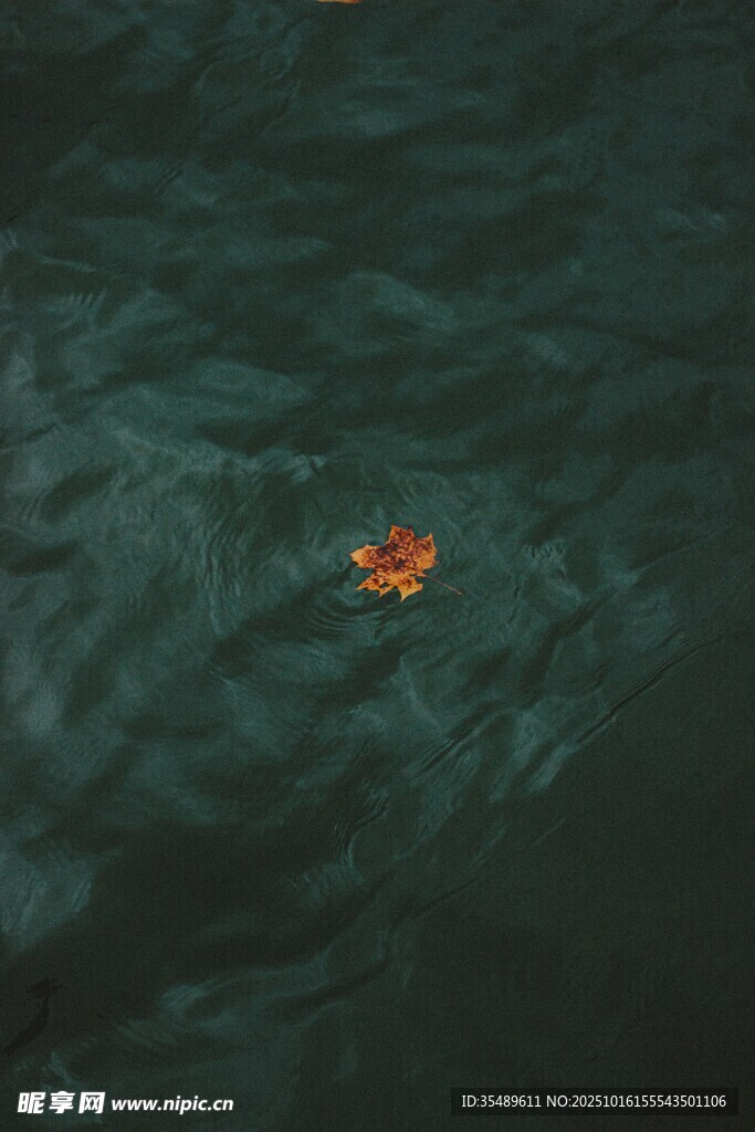 海面上漂浮的橙色物体