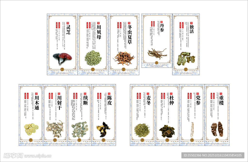 中药材介绍装饰