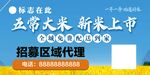 五常大米新米招商海报