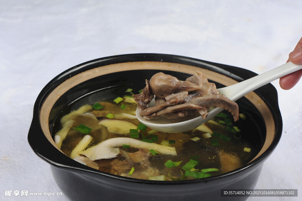 美味砂锅菌菇炖肉