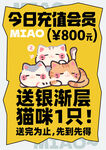 今日充值会员送银渐层猫