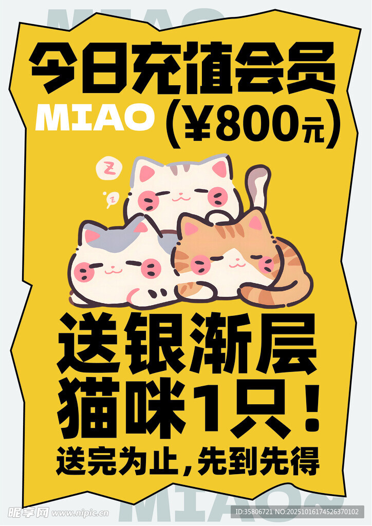 今日充值会员送银渐层猫