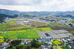 田园乡村俯瞰美景