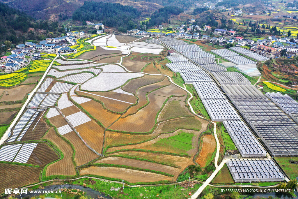 俯瞰多彩梯田田园风光