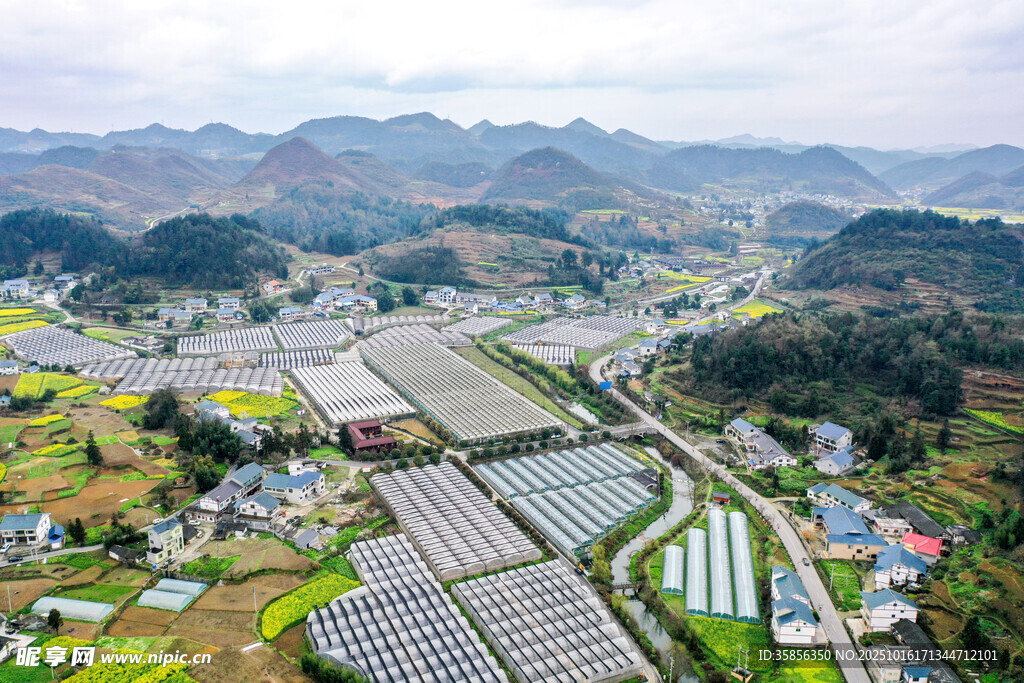 花茂村俯瞰美景