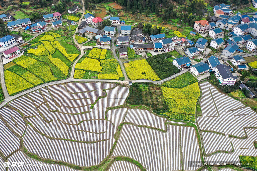俯瞰多彩梯田与村落景观