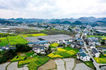 田园乡村美丽风光俯瞰图