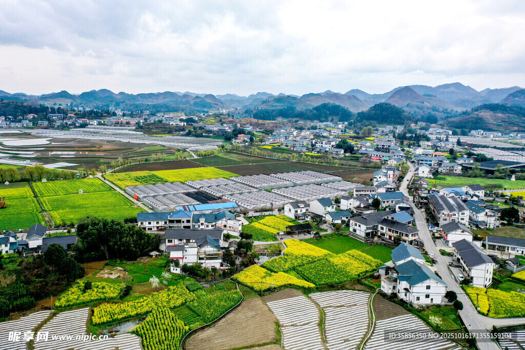 田园乡村美丽风光俯瞰图