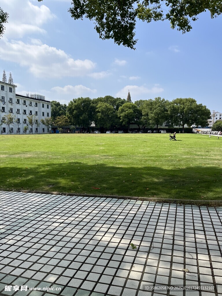 草坪 天空