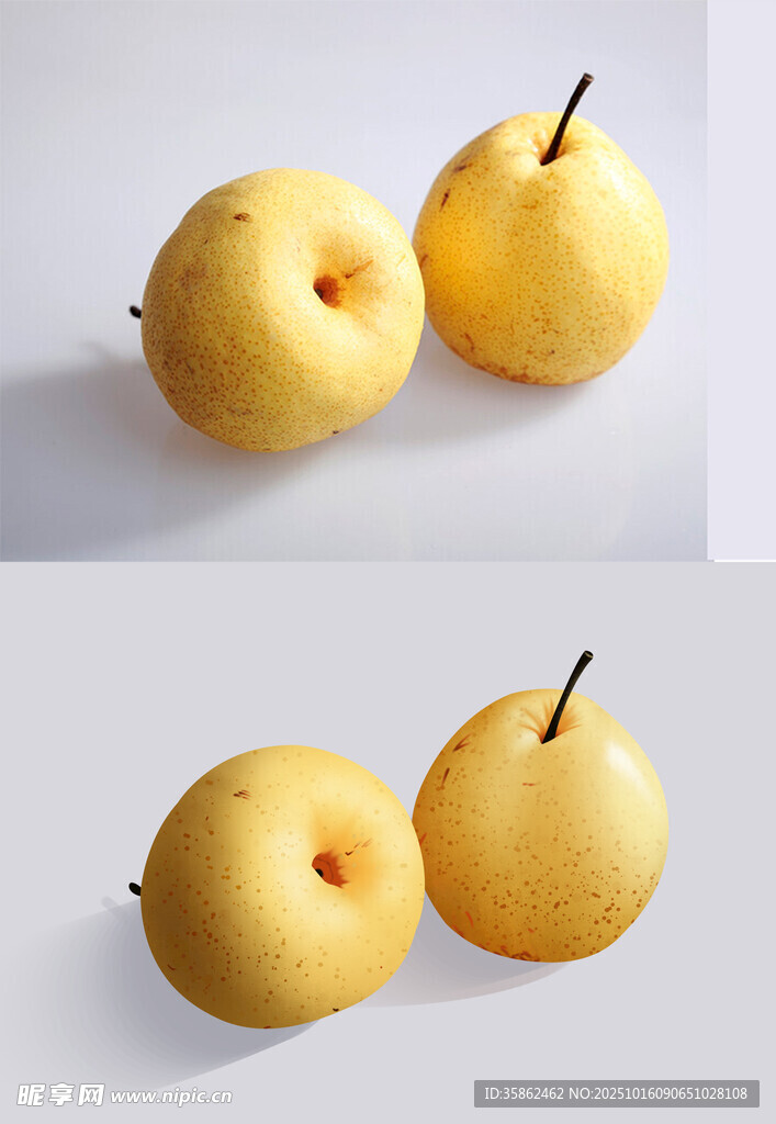 手绘梨