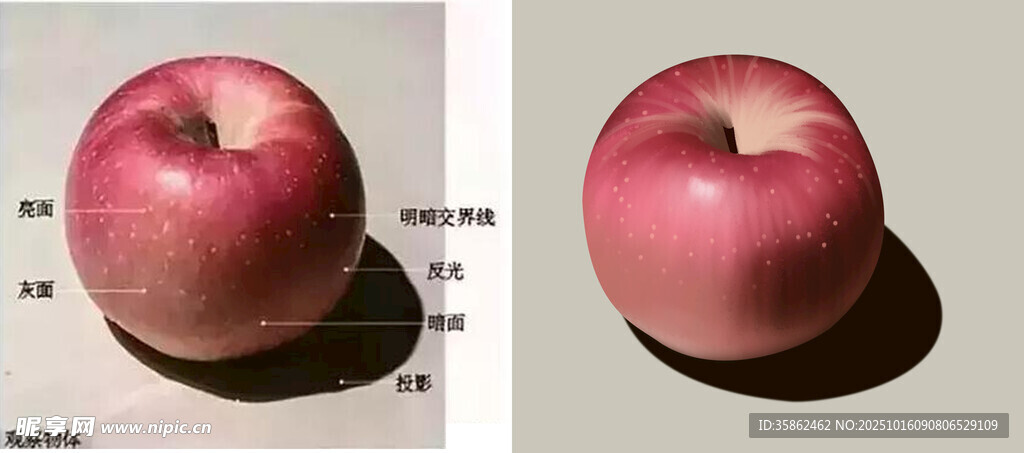 手绘苹果