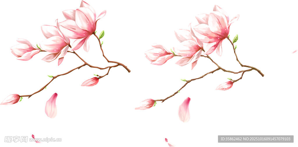 彩色花
