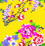 牡丹花