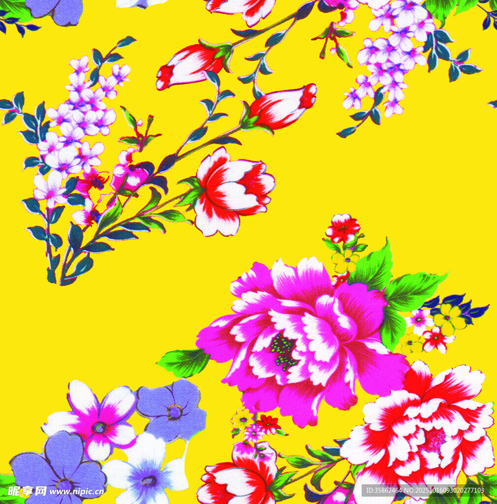 牡丹花