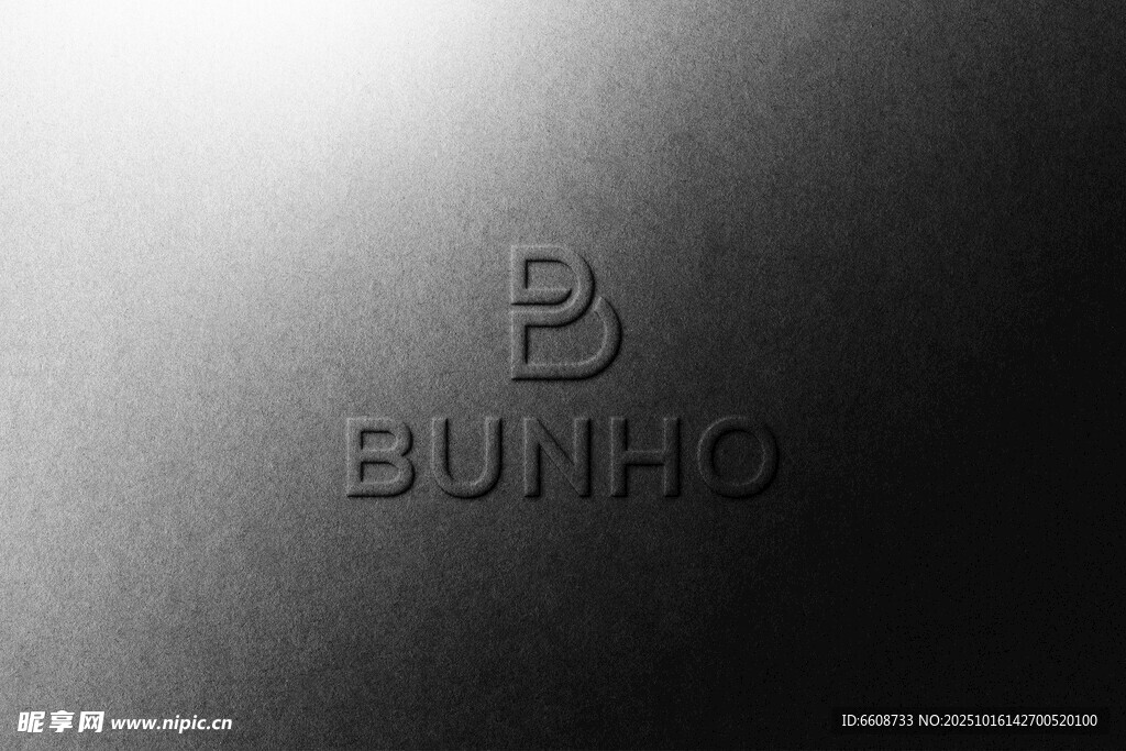 BUNHO品牌标志特写