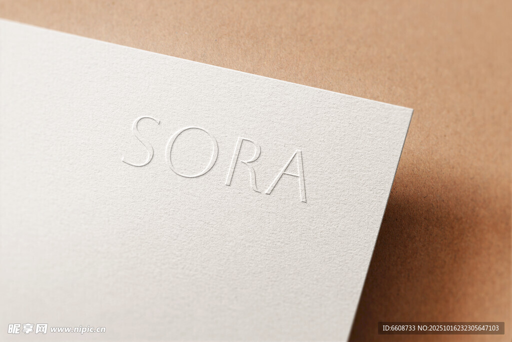 白色卡片上的SORA字样