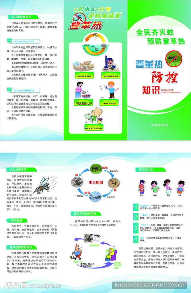 登革热宣传折页