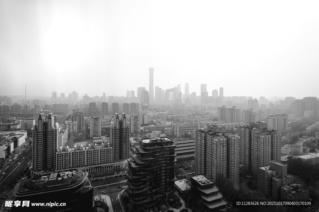 黑白视角下的繁华都市景观
