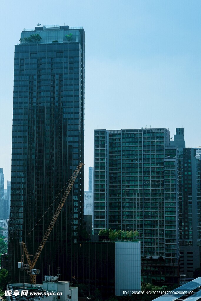 城市高楼景象