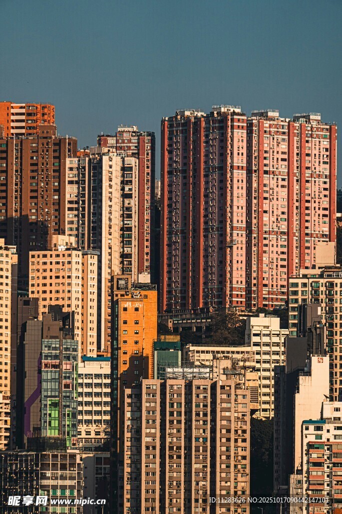 高楼林立的城市景观