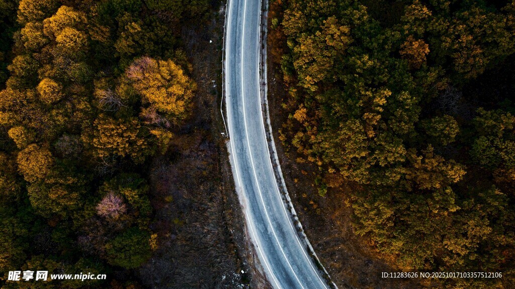 秋日蜿蜒公路鸟瞰美景