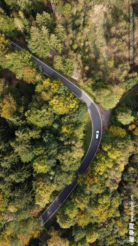 蜿蜒公路穿梭于葱郁森林