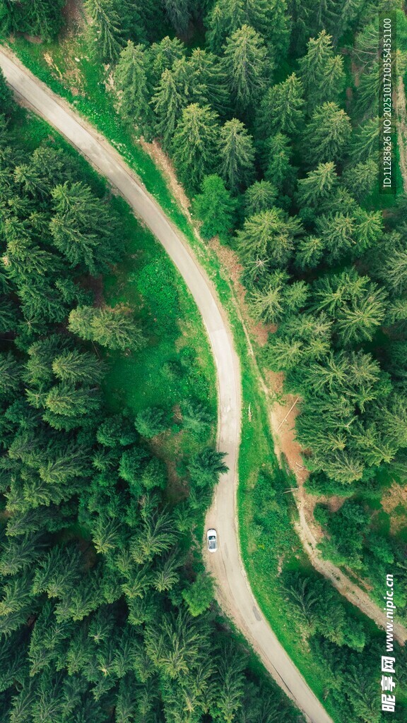 俯瞰山林间蜿蜒小路