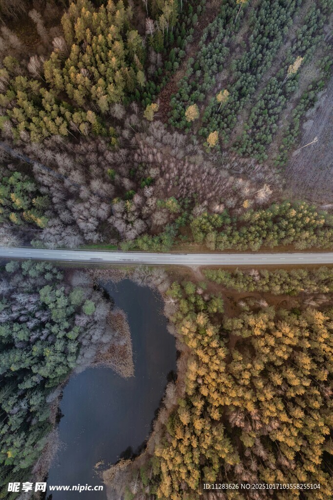 俯瞰山林间的蜿蜒道路