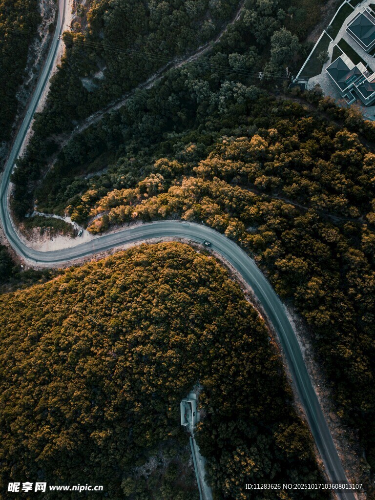 蜿蜒山路穿梭于斑斓树林